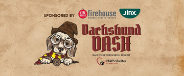 Dachshund Dash